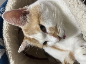 IMG_4379　ぶろぐ.jpgのサムネール画像